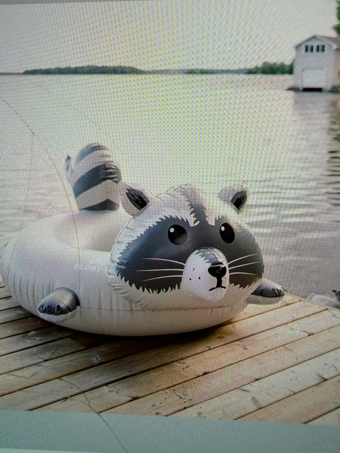 FLOAT-EH Raccoon Pool Float - photo 3