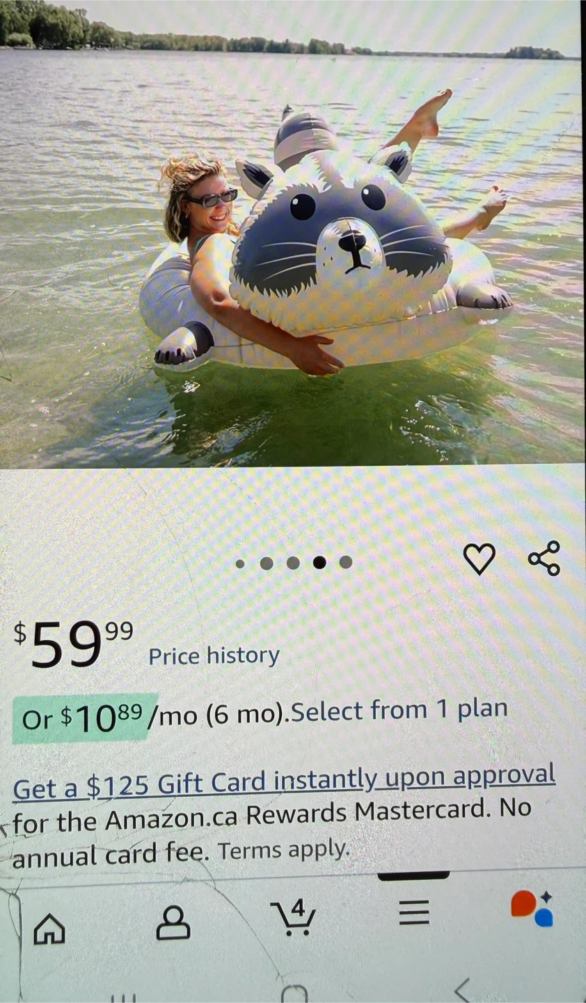 FLOAT-EH Raccoon Pool Float - photo 4