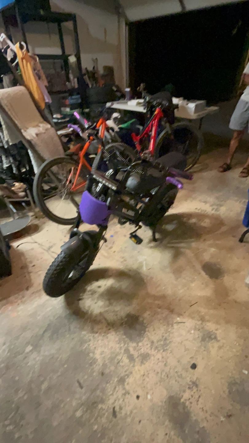 Eskute V100 Electric Bike - photo 5