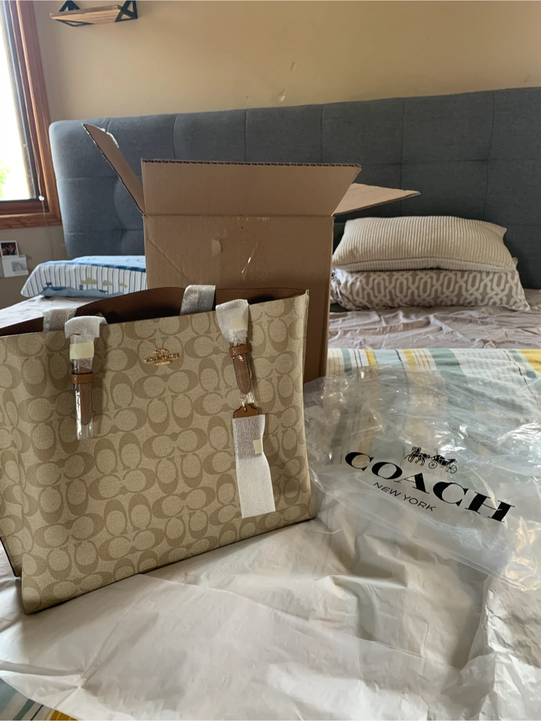 New Coach Signature Mollie Tote in Khaki