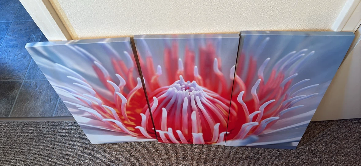 3-Piece Floral Canvas Wall Art Set