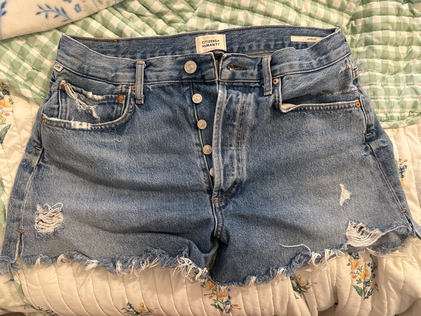 Citizens of Humanity Marlow Denim Shorts