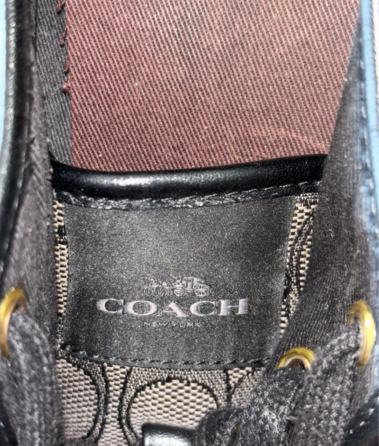 Coach Empire Sneakers - photo 3