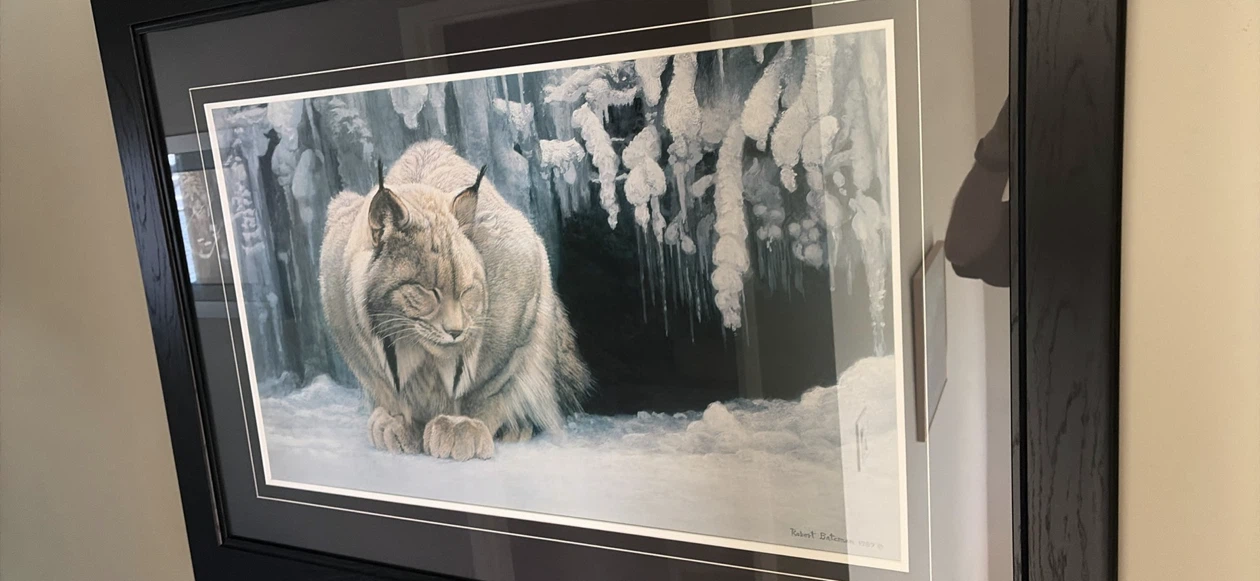 Robert Bateman Framed Print Lynx
