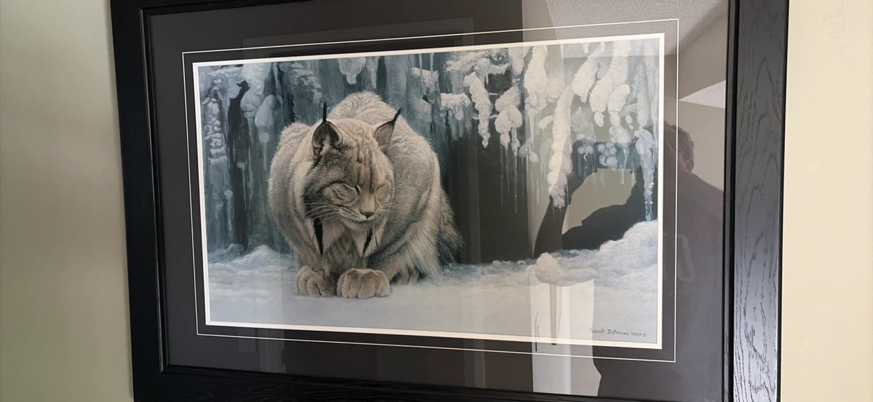 Robert Bateman Framed Print Lynx - photo 3