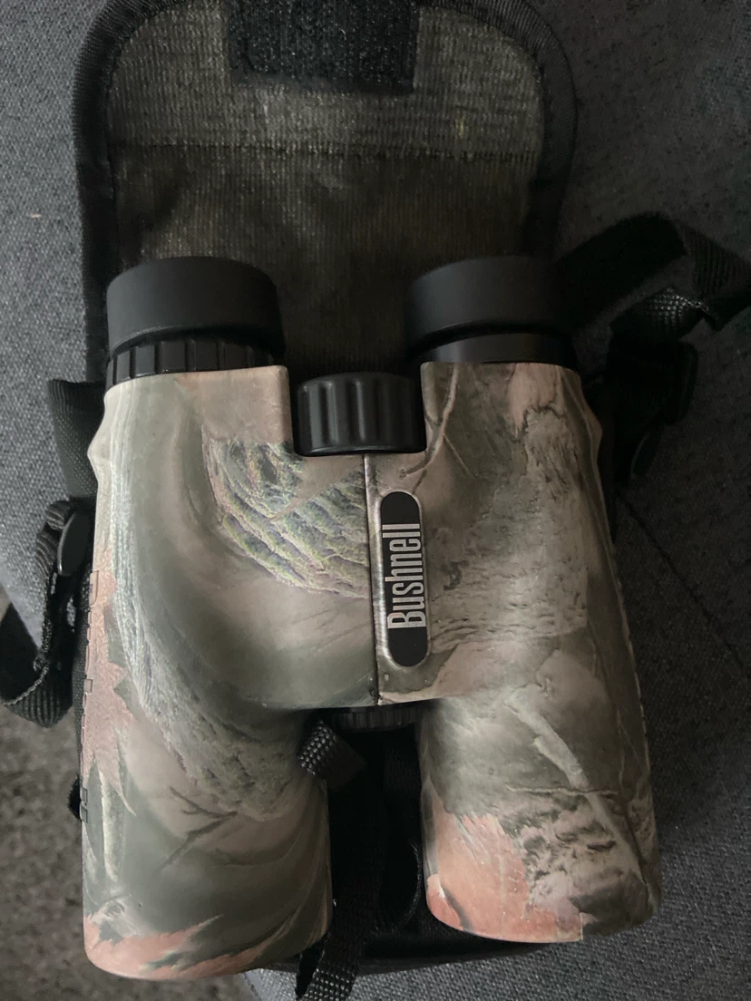 Bushnell Sportsman 10x42 Binoculars