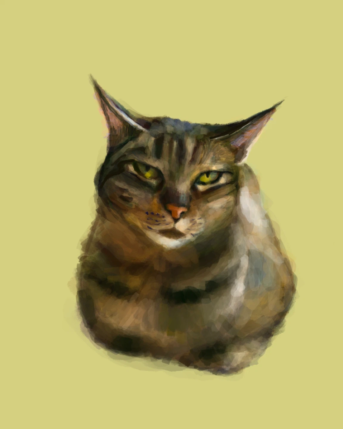 Cat Commission