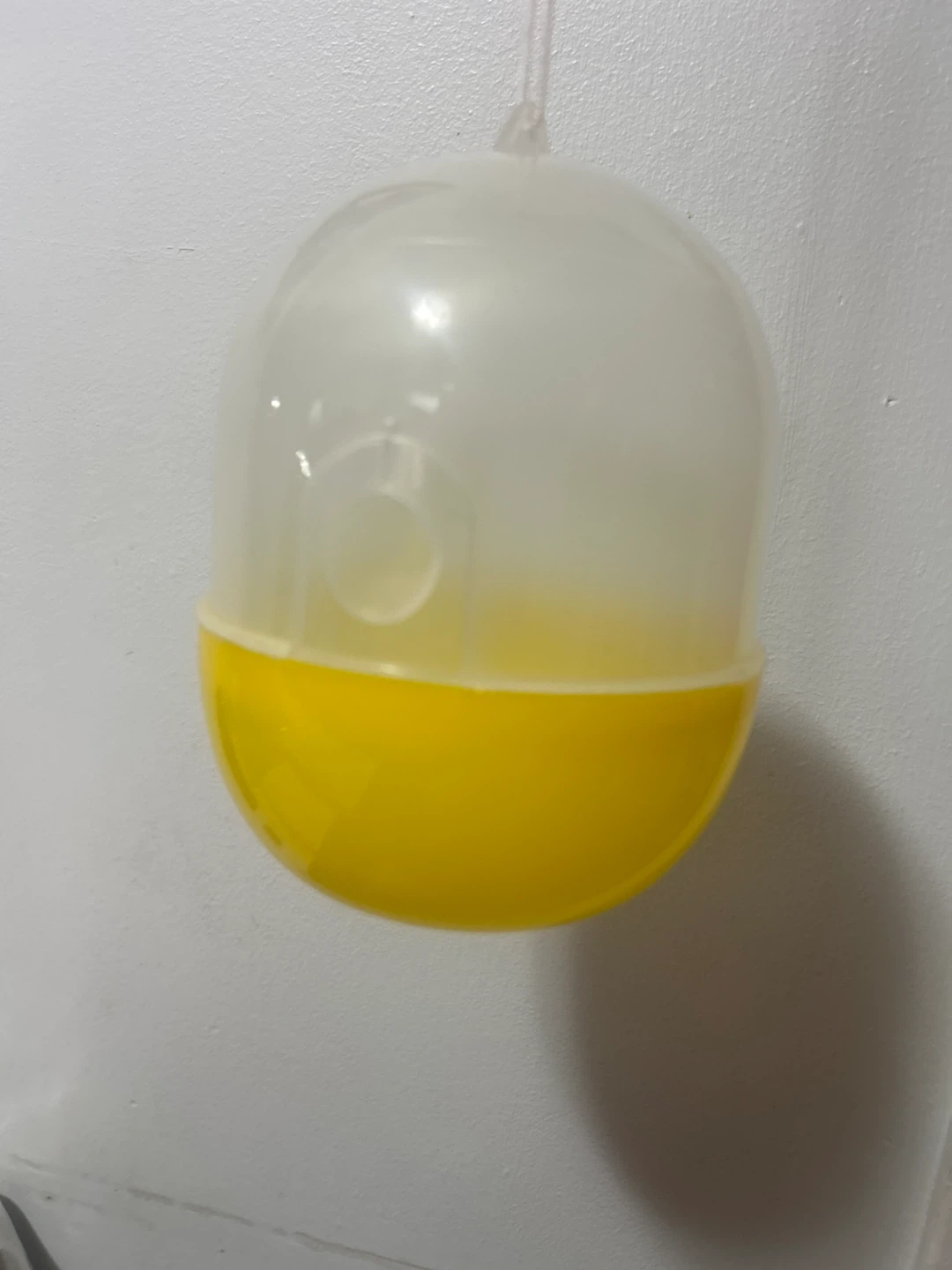 Wasp catcher