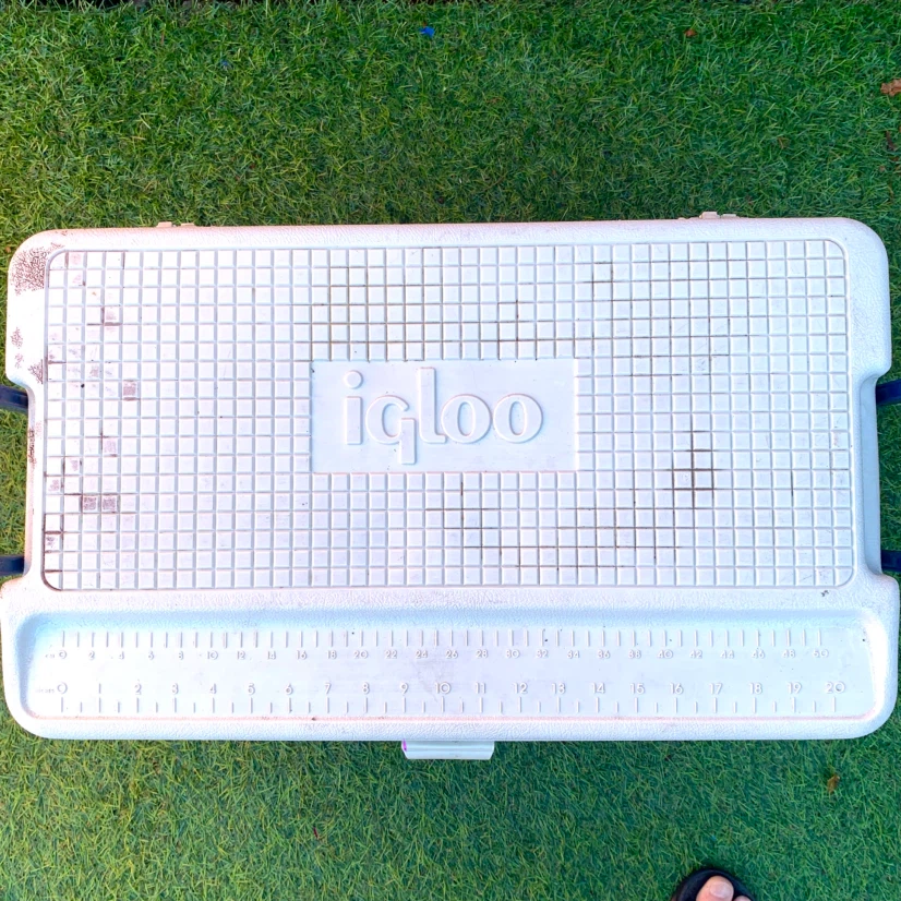 Large Camping Cooler Ice Chest Outdoor Picnic Beach Fishing - photo 4