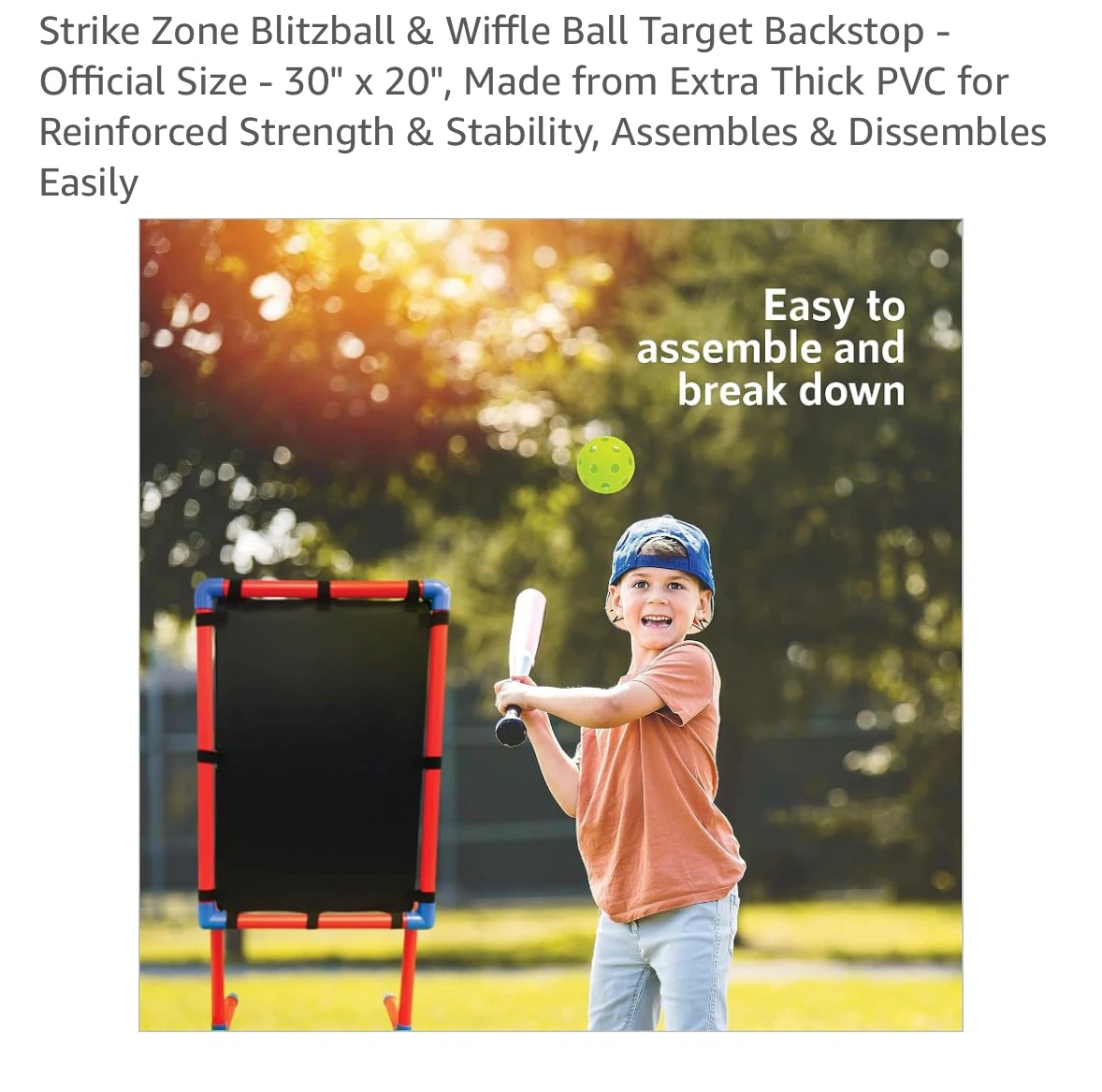 Strike Zone Blitzball & Wiffle Ball Target Backstop - photo 4