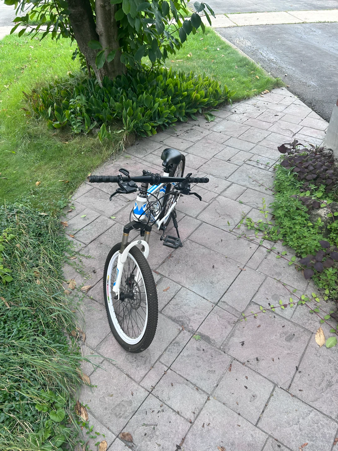 Supercycle Mountain Bike