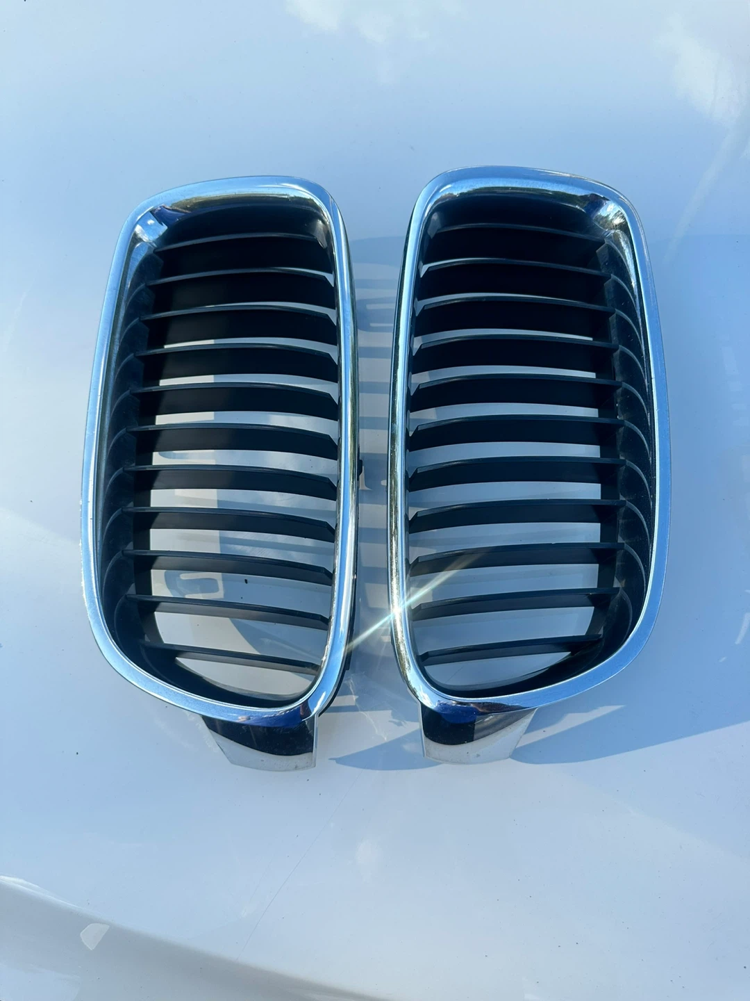BMW Kidney Grilles
