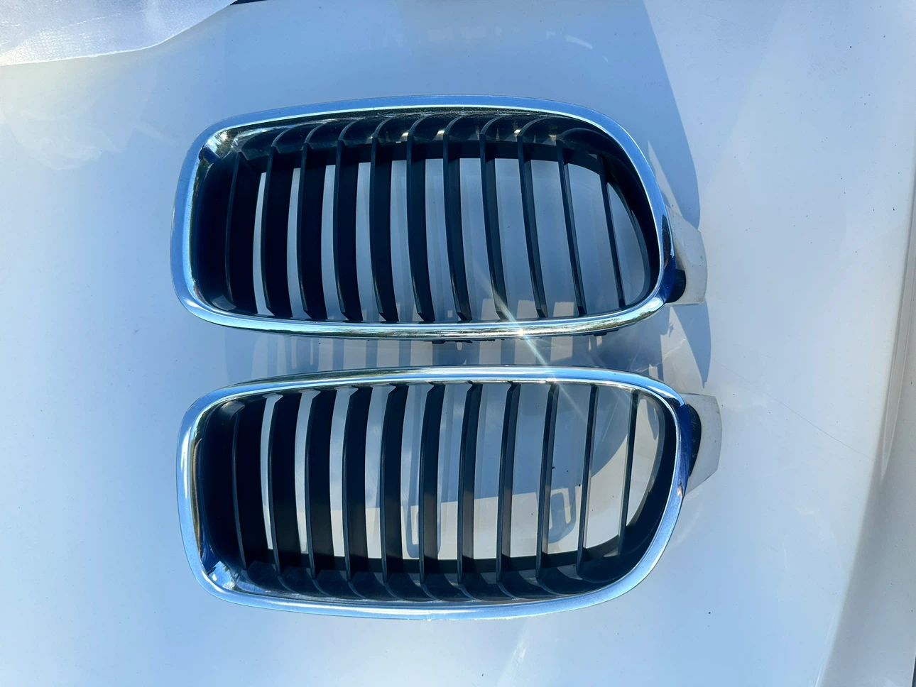 BMW Kidney Grilles - photo 2