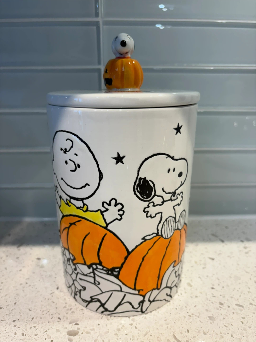 NEW Peanuts Snoopy & Friends Handpainted Ceramic Jar Canister