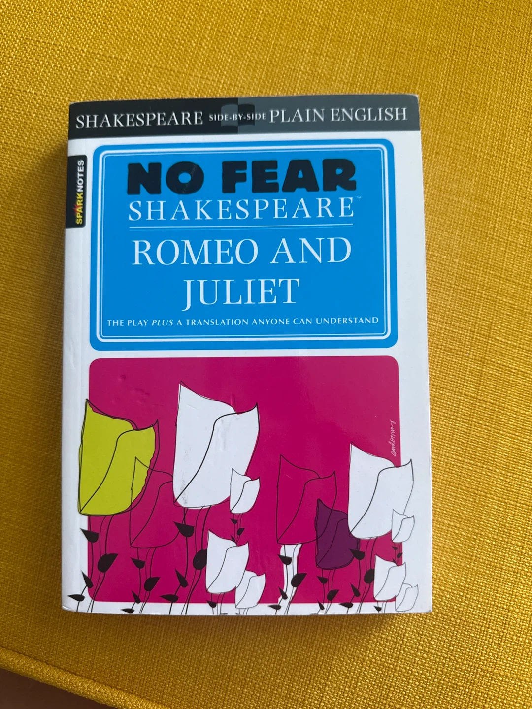 No Fear Shakespeare: Romeo and Juliet