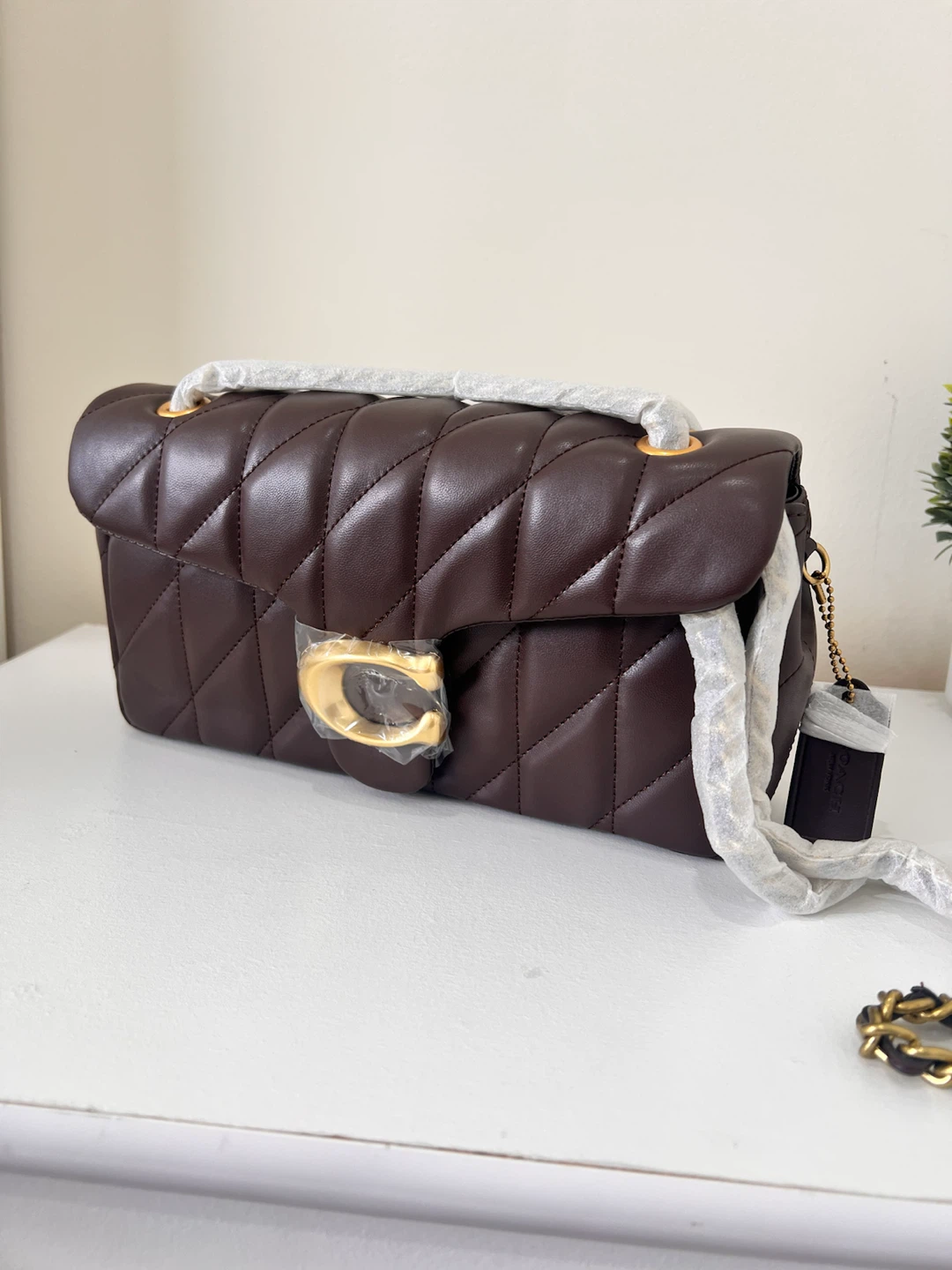 Coach The Tabby Bag in Dark Brown