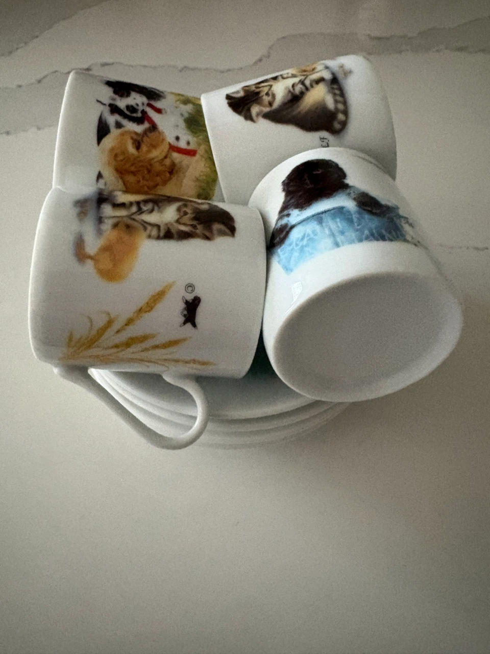 Set of 4 Animal Pattern Ceramic Espresso Cups and Saucers