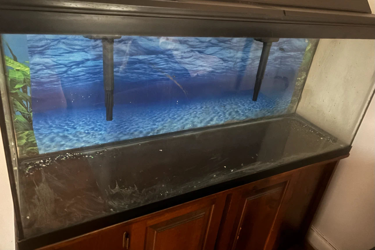 Two Top Fin 55 Gallon Aquarium - photo 3