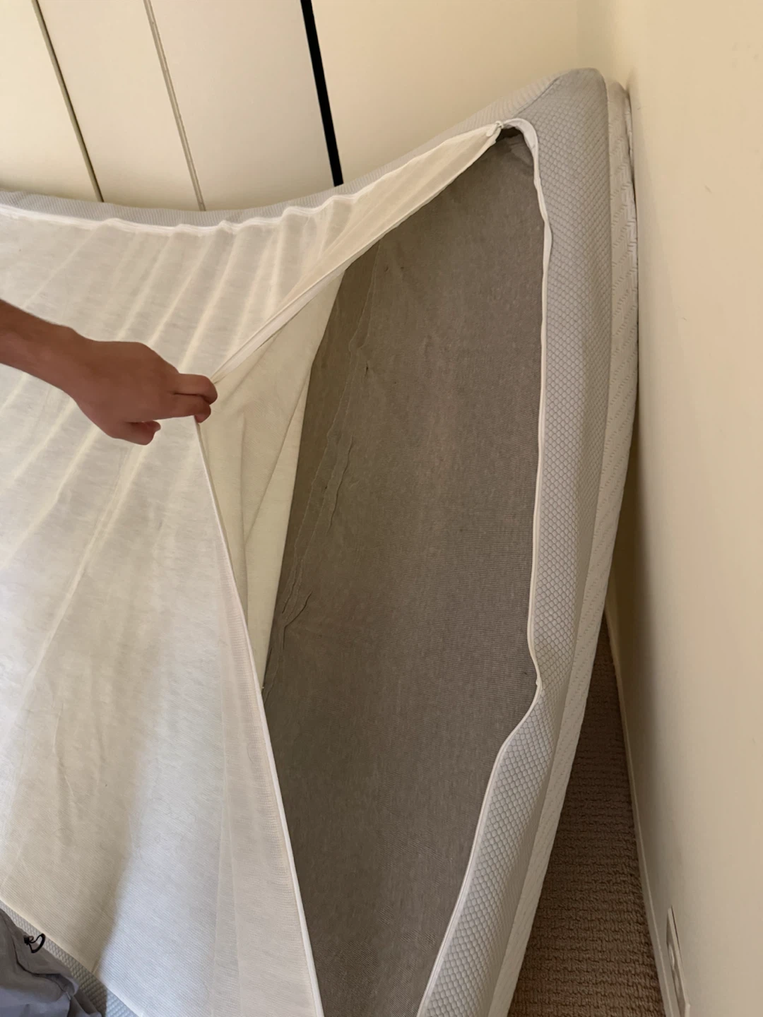 Free Queen Size Zinus Mattress - photo 4
