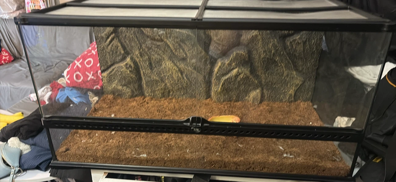 Exo Terra Terrarium - photo 2