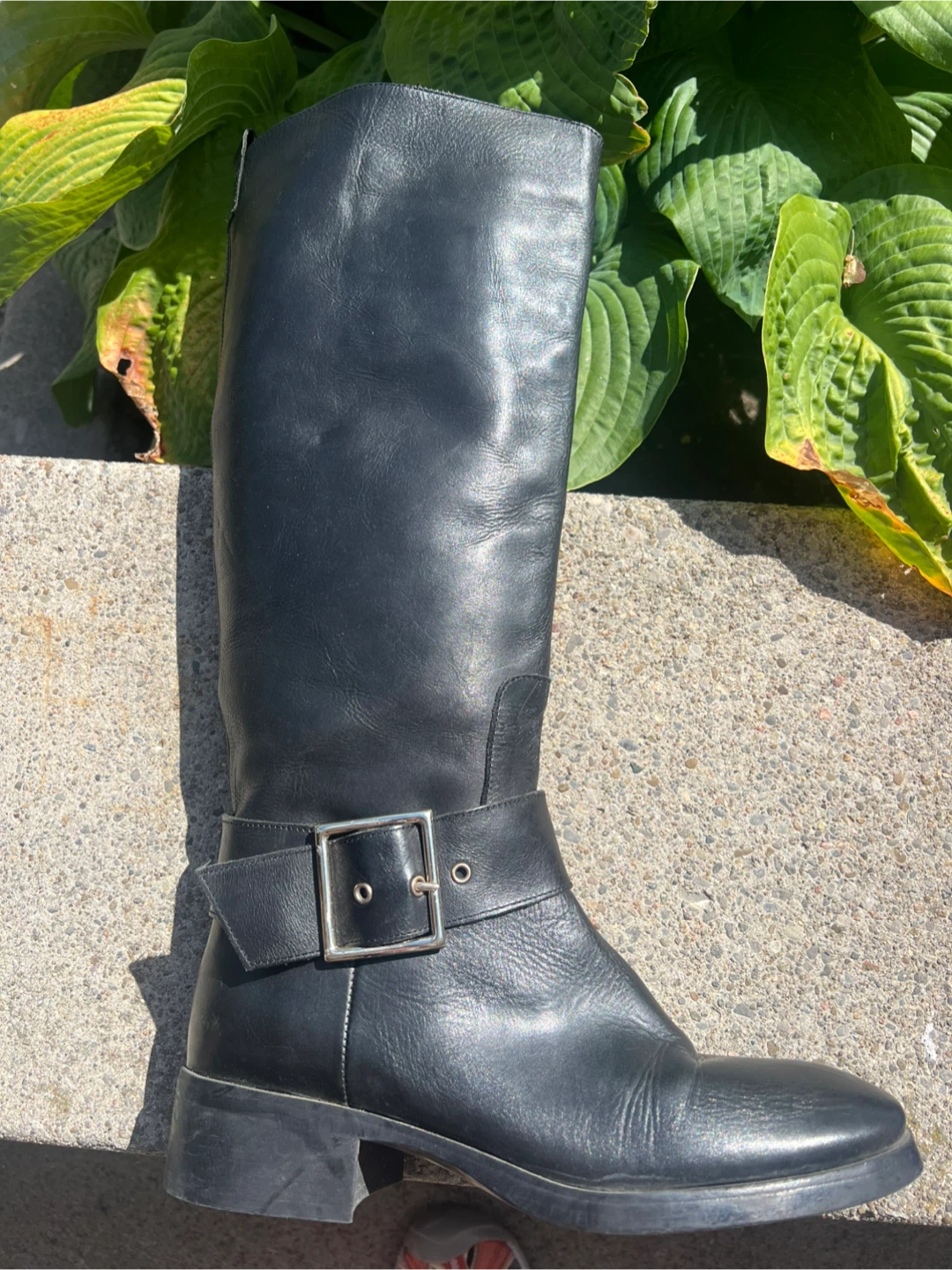 Zara Basic Collection Black Knee-High Boots