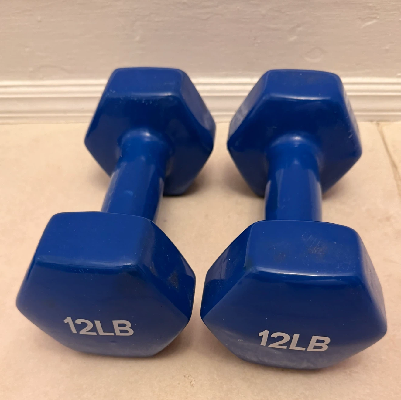 Set of Two 12lb Vinyl Dumbbells