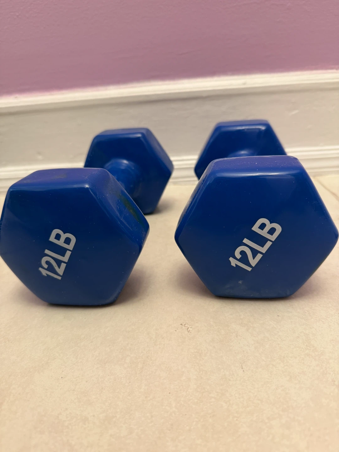 Set of Two 12lb Vinyl Dumbbells - photo 2