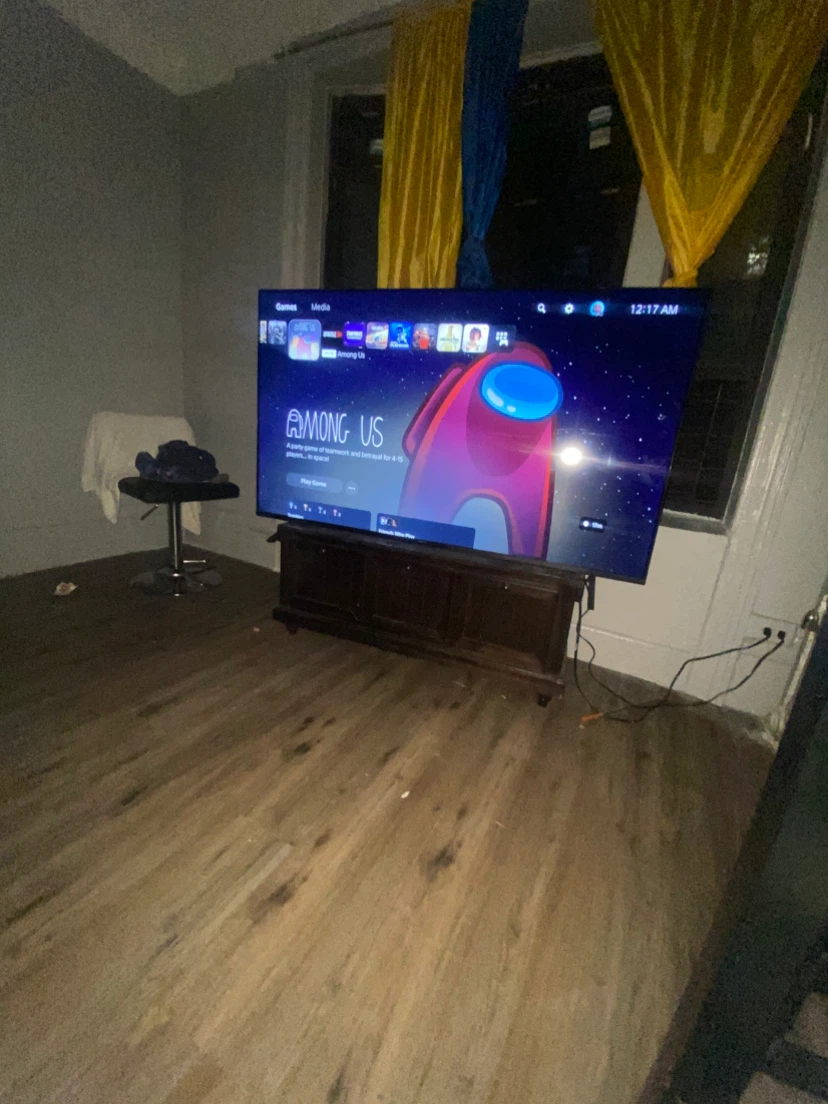 Large Flat Screen Television (specific Sony tv Bravia bf1)