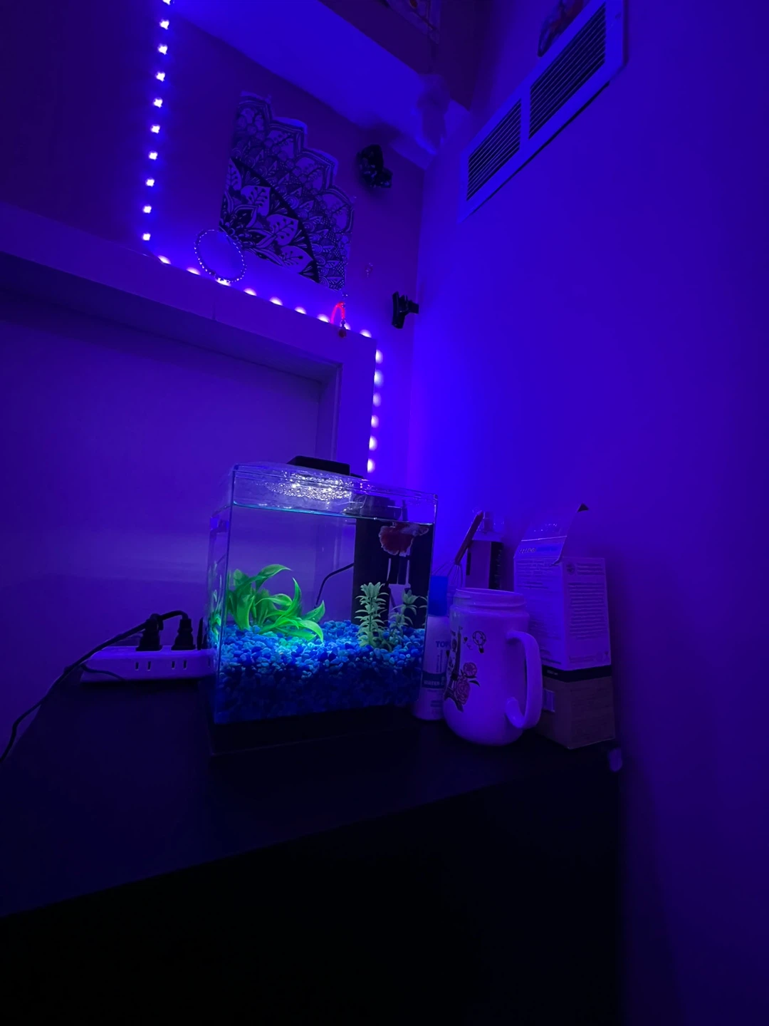 Fish tank - photo 2