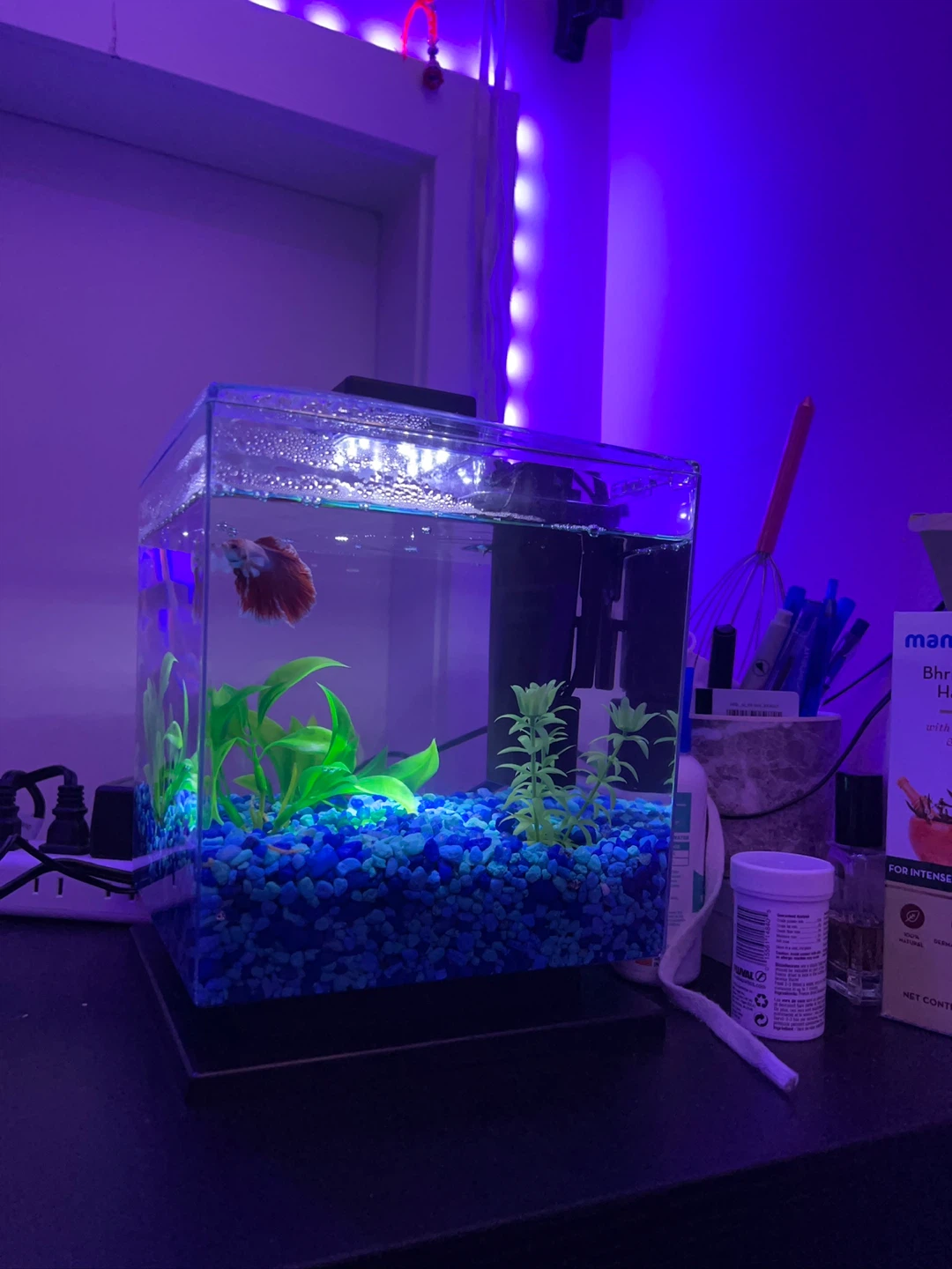 Fish tank - photo 3