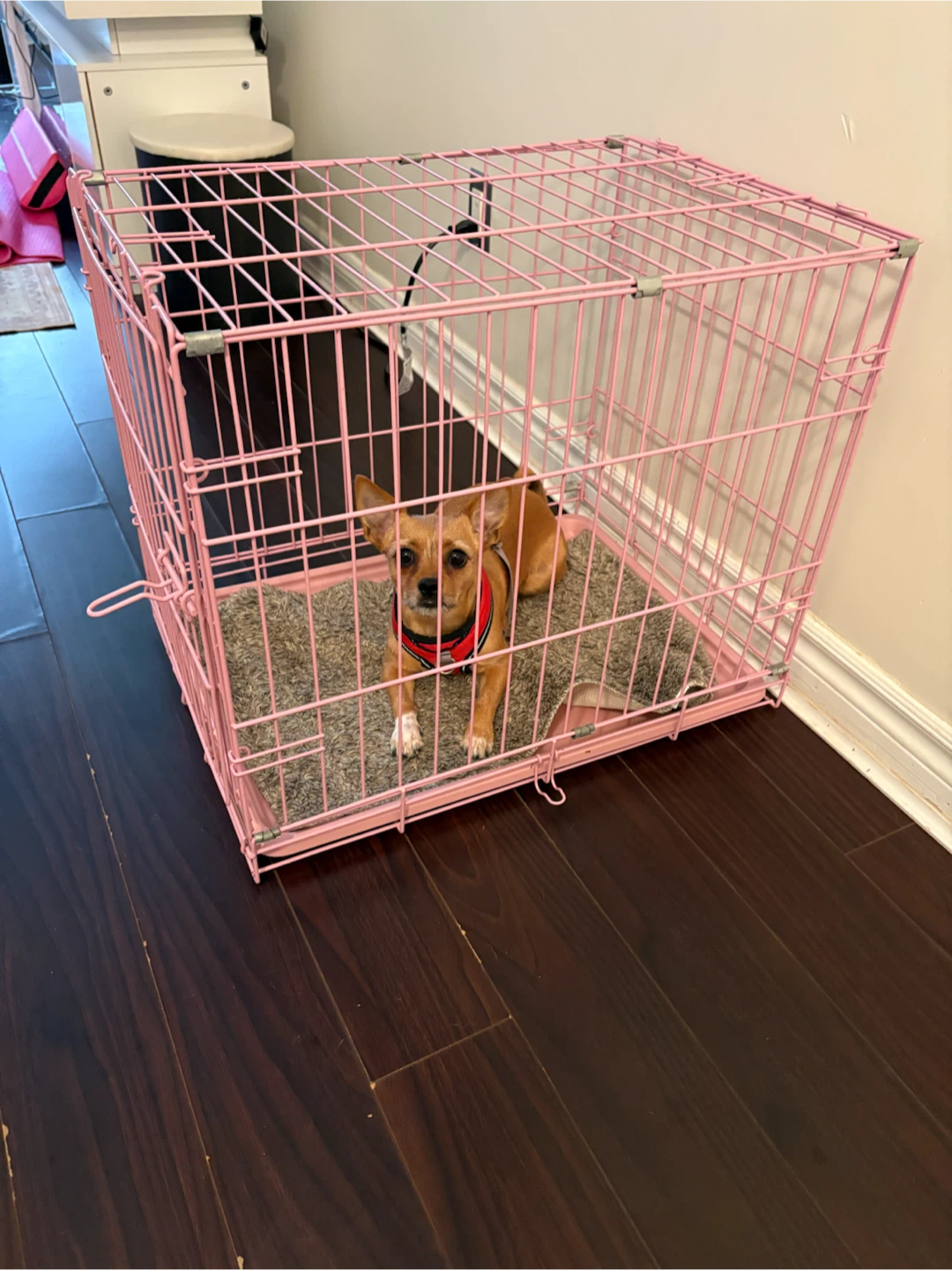 Pink Wire Dog Crate - photo 2