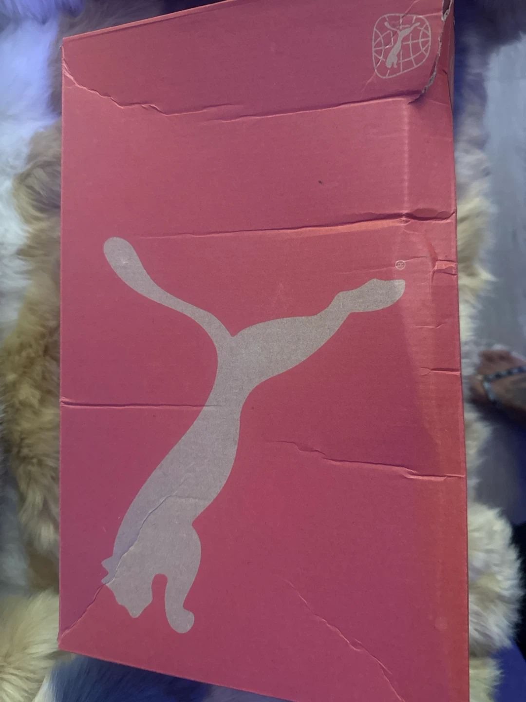 Puma Future 7 Match FG/AG Soccer Cleats Size 10.5 - photo 4