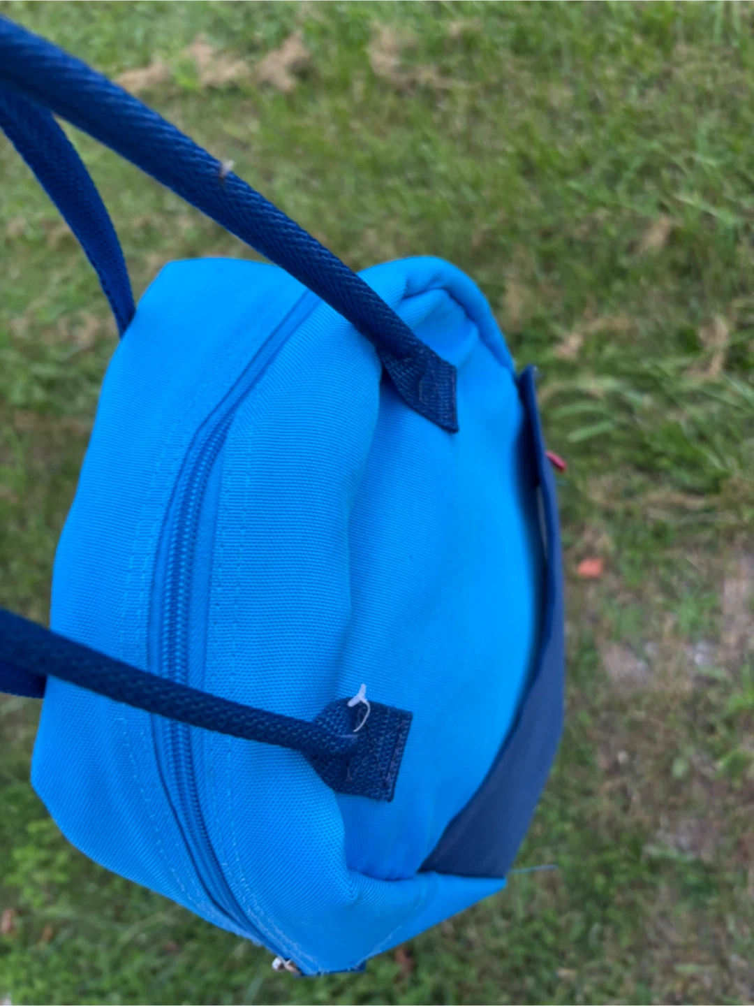 Blue Insulated Lunch Bag - photo 3
