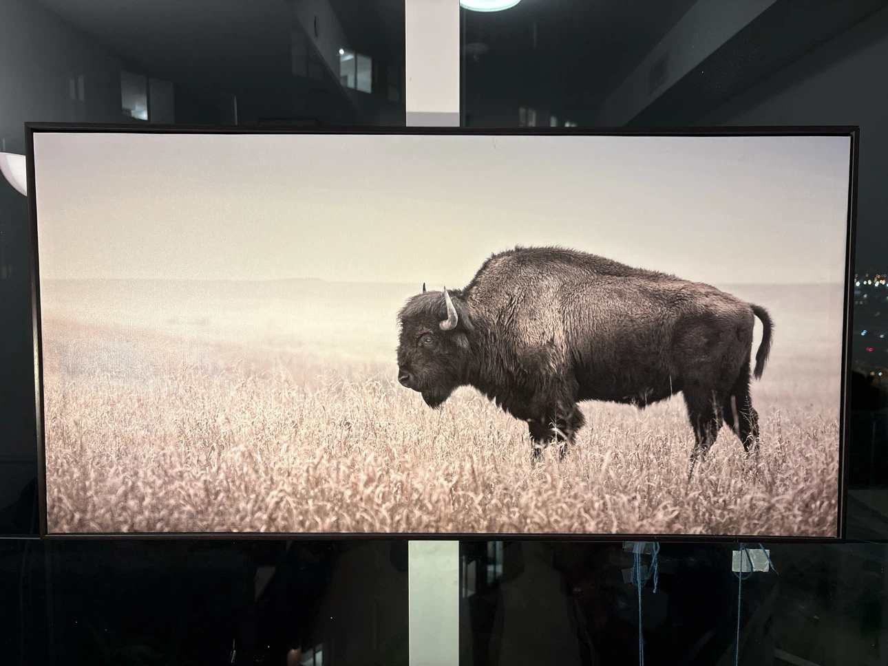 Bison Landscape Canvas Wall Art