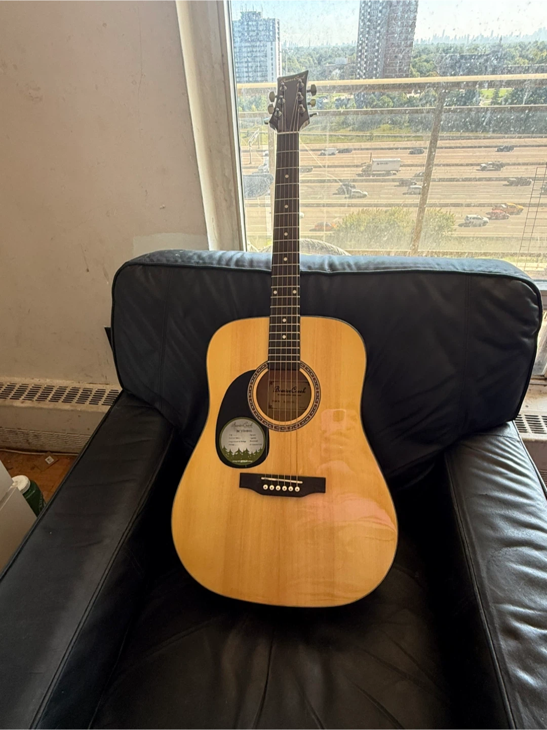 Beaver Creek BCTD101L Acoustic Guitar