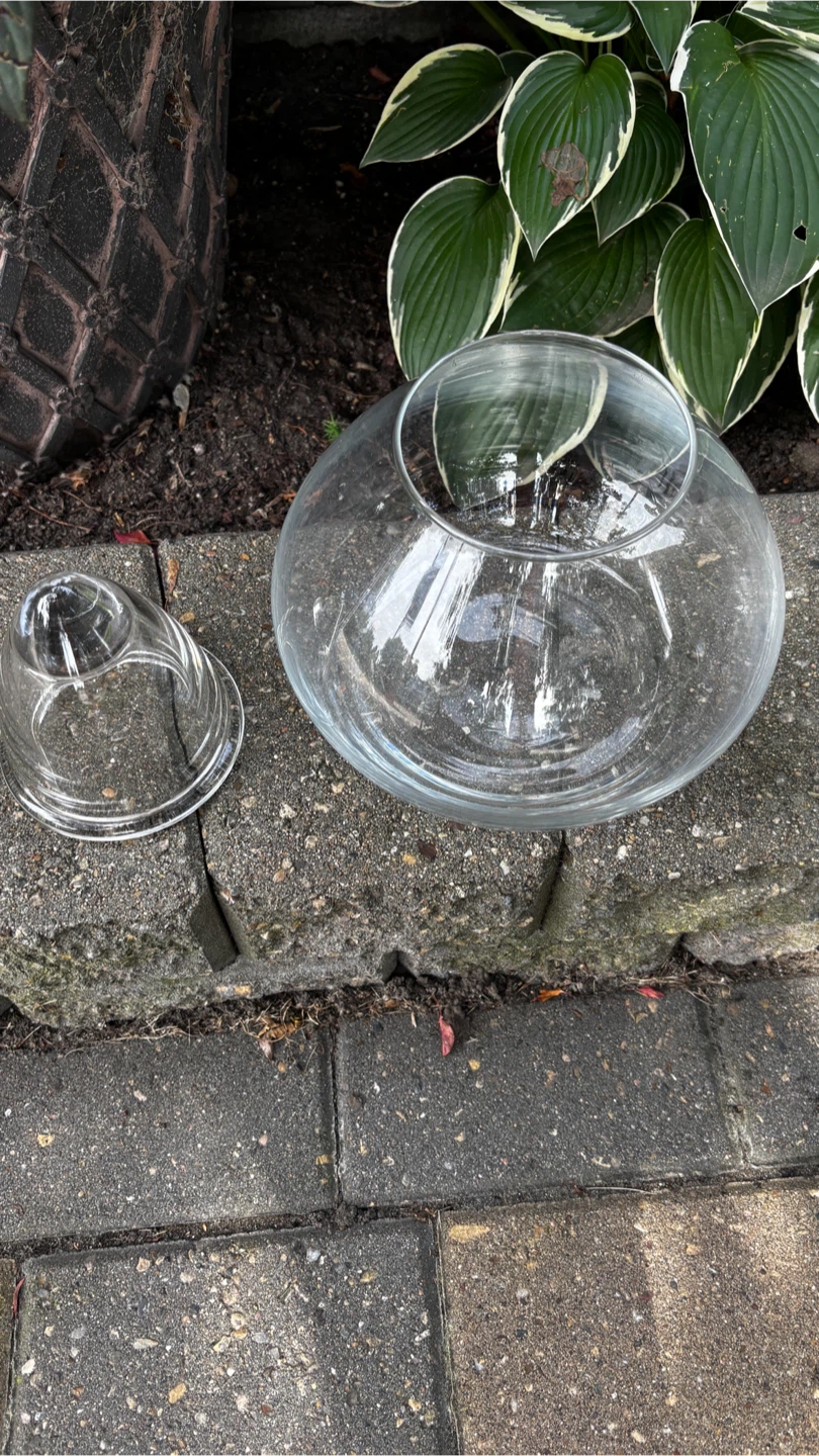Vases/Wedding Decor - photo 2