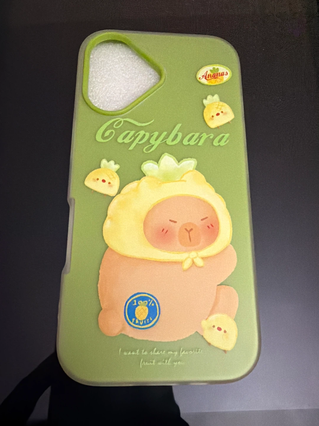 Capybara Phone Case for iPhone 16 - photo 2