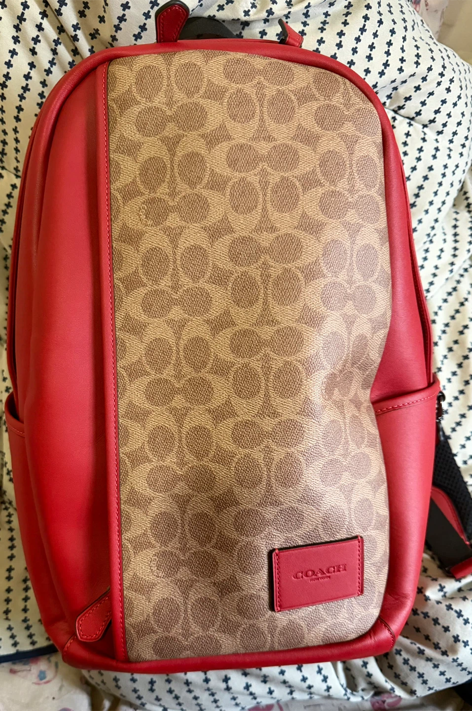 Coach Leather Backpack