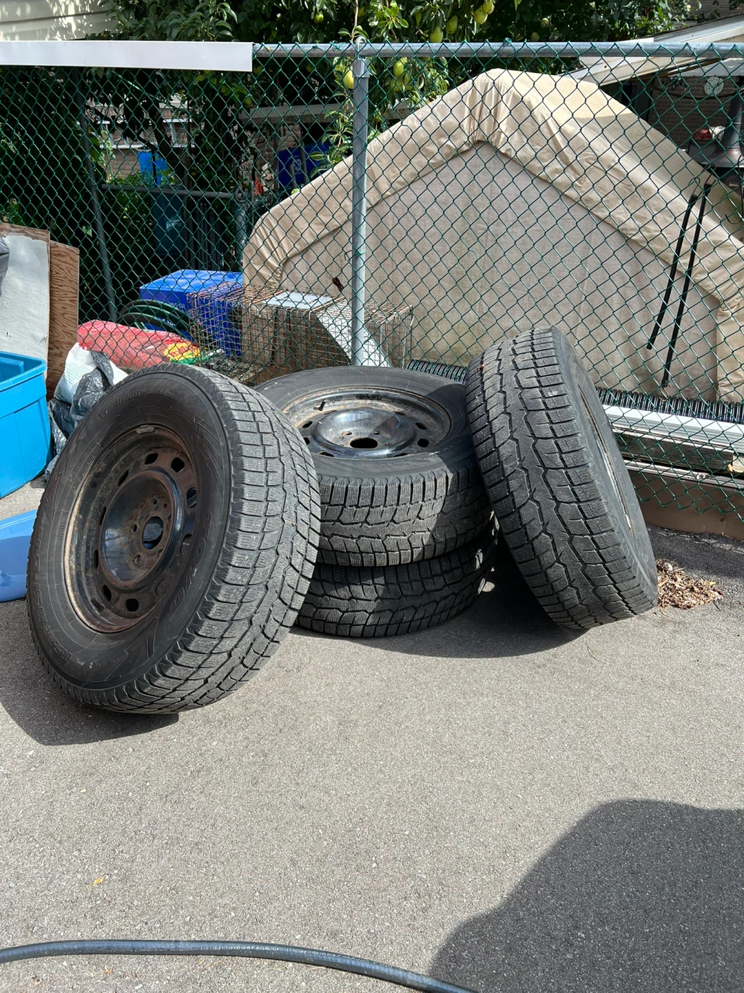 Set of 4 Toyo Winter Tires on Steel Rims
