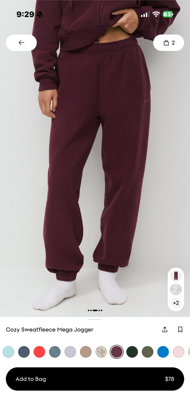 Aritzia Cozy Sweatfleece Mega Jogger