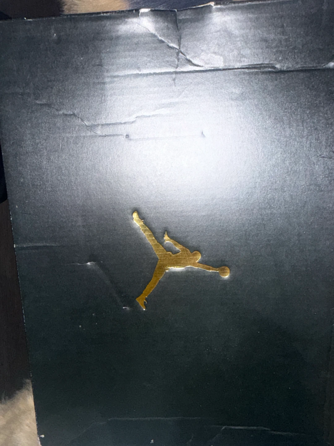 Air Jordan 12 Retro GS Arctic Punch - photo 5