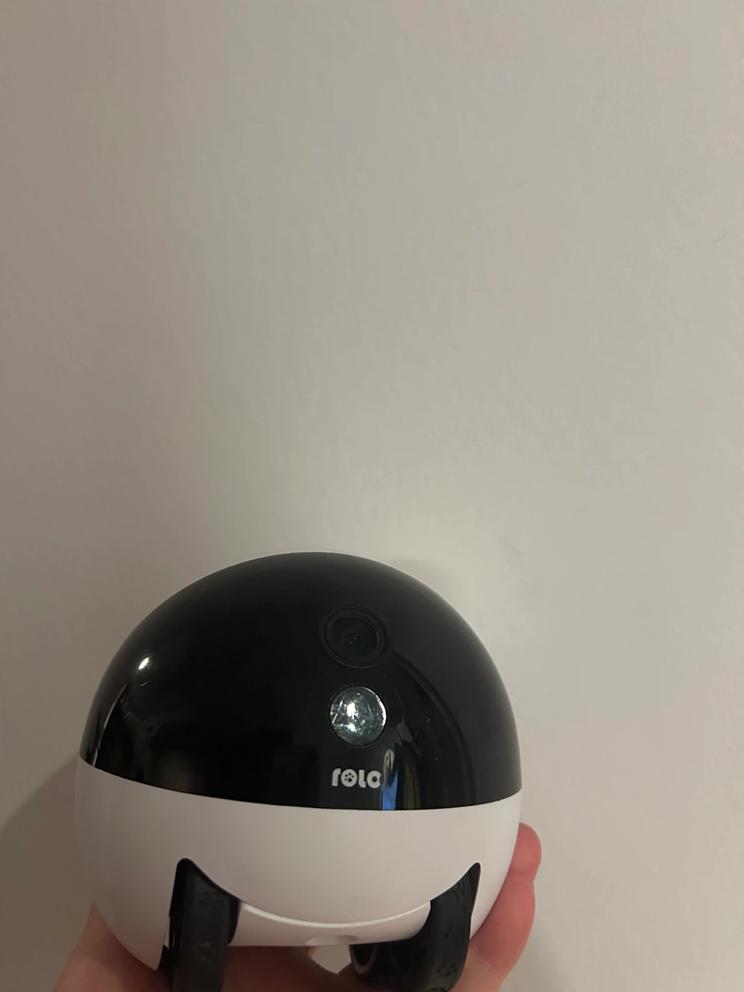 Enabot EBO ROLA Mini Pet Camera Robot - photo 2
