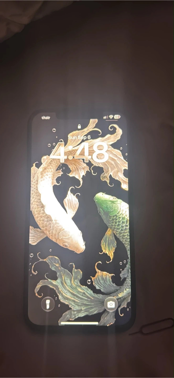 Apple iPhone 12 Pro Max 128GB Battery at 82%