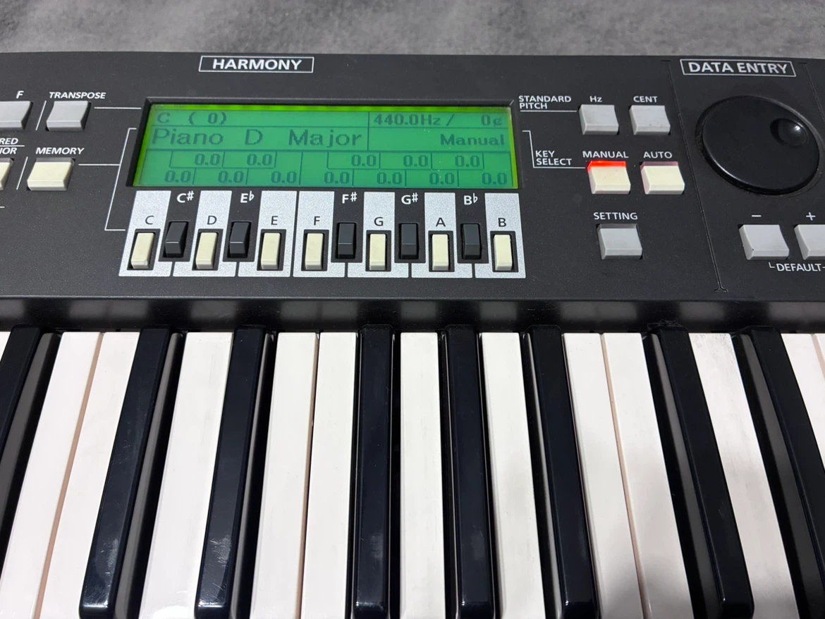 Keyboard /Teclados Yamaha PSR-E373, VM Casio CTK-900 - photo 5