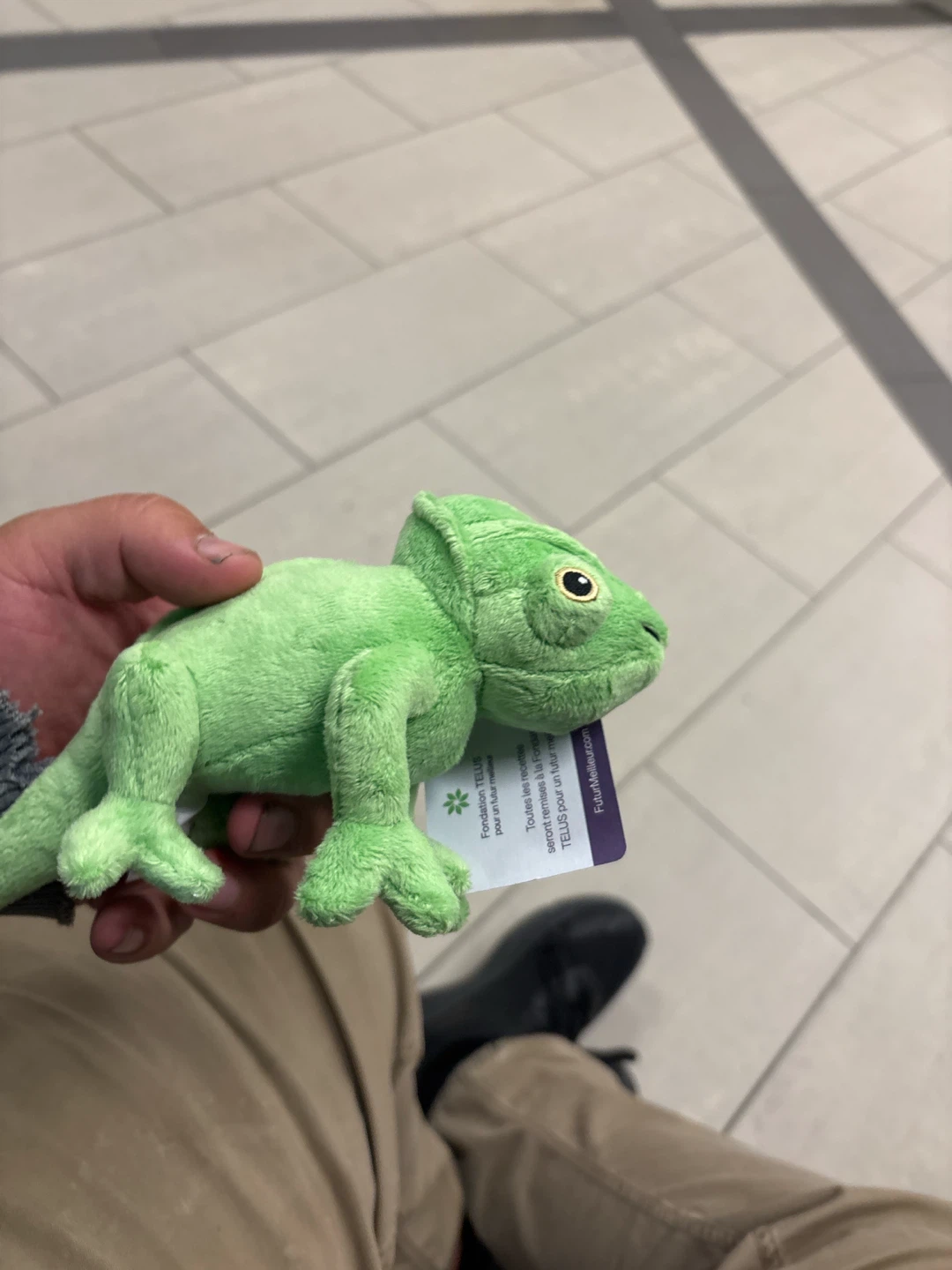 TELUS Foundation Chameleon Plush