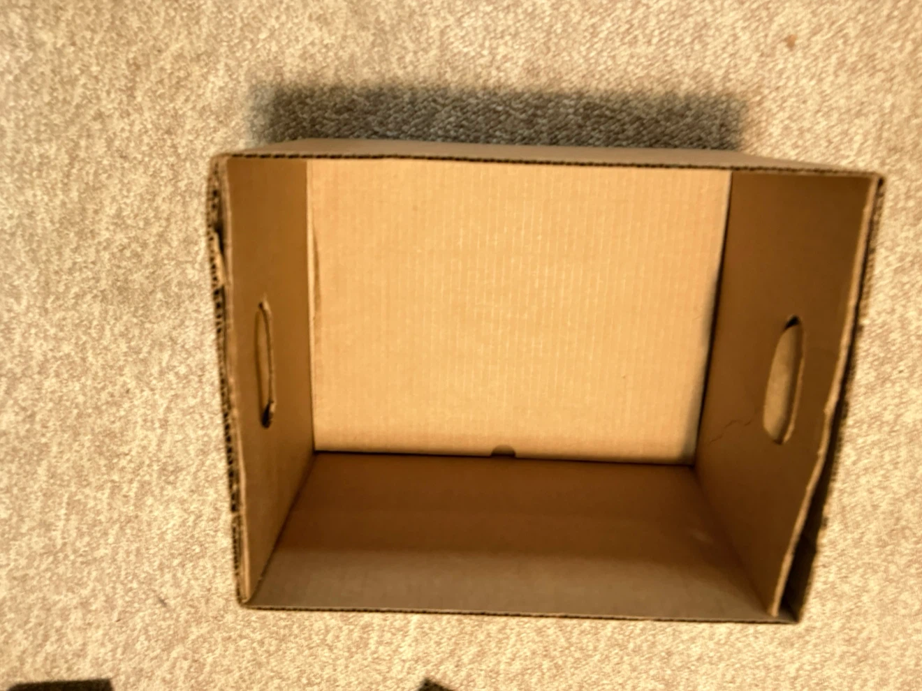 Uline Corrugated Storage Boxes-more than 20 boxes - photo 2
