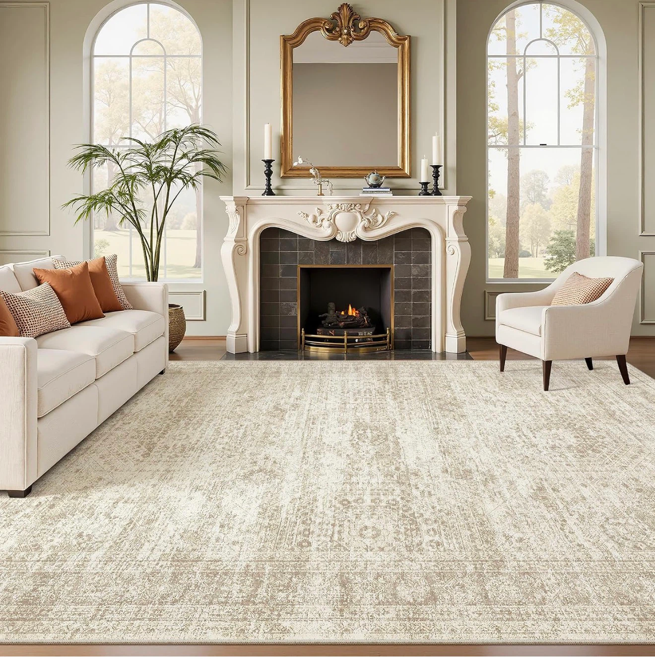 Lightweight Beige Area Rug