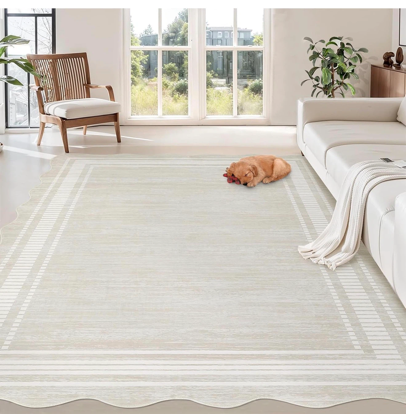Machine Washable Area Rug