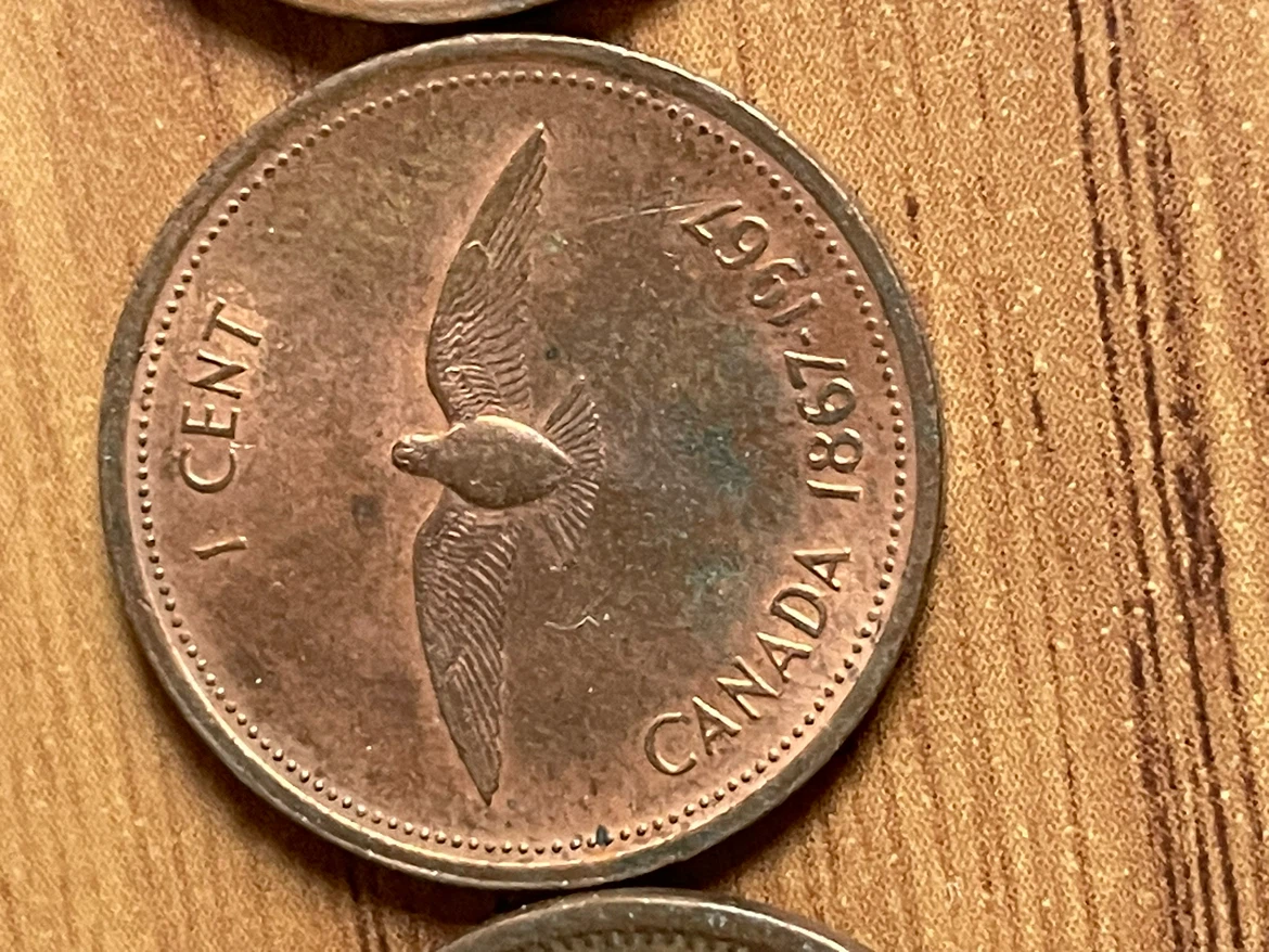 1967 Canadian 1 Cent Centennial Coin - photo 4