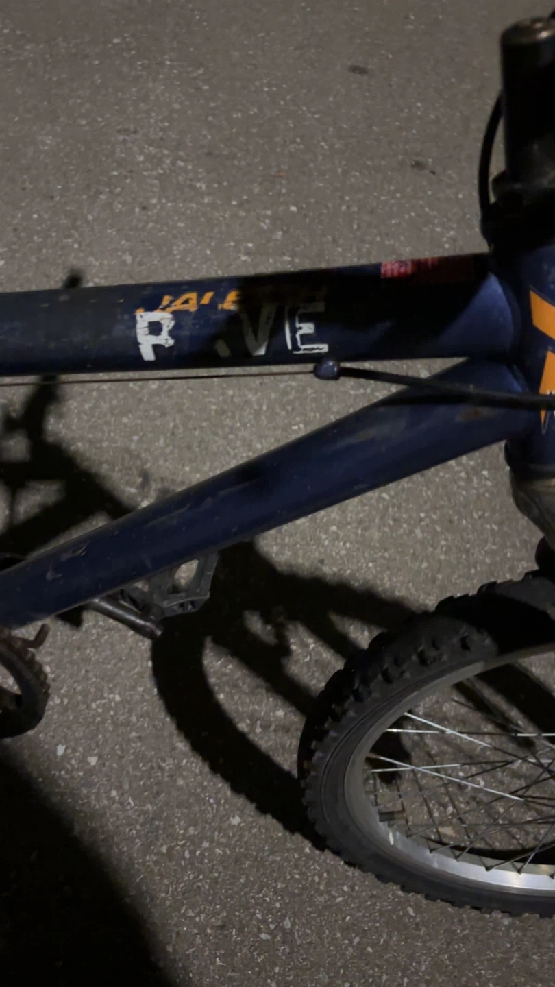 Raleigh Rave Kids Mountain Bike - photo 3